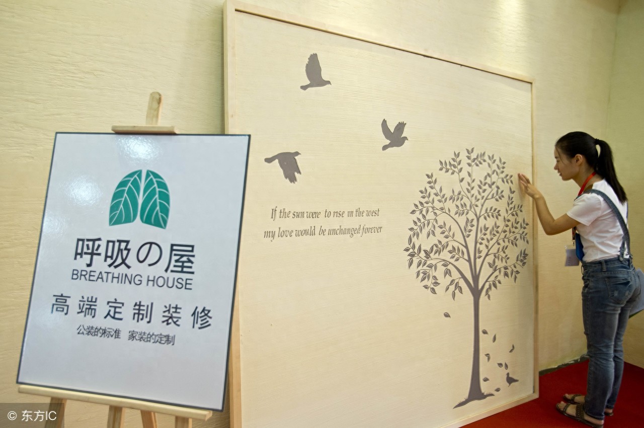 新房装修硅藻泥后悔_硅藻泥优缺点分析_硅藻泥缺点大揭秘材料