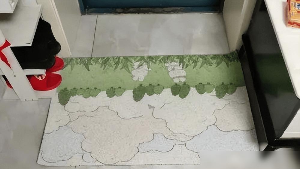 传统脚垫缺点_硅藻泥地垫优点_硅藻泥缺点大揭秘材料