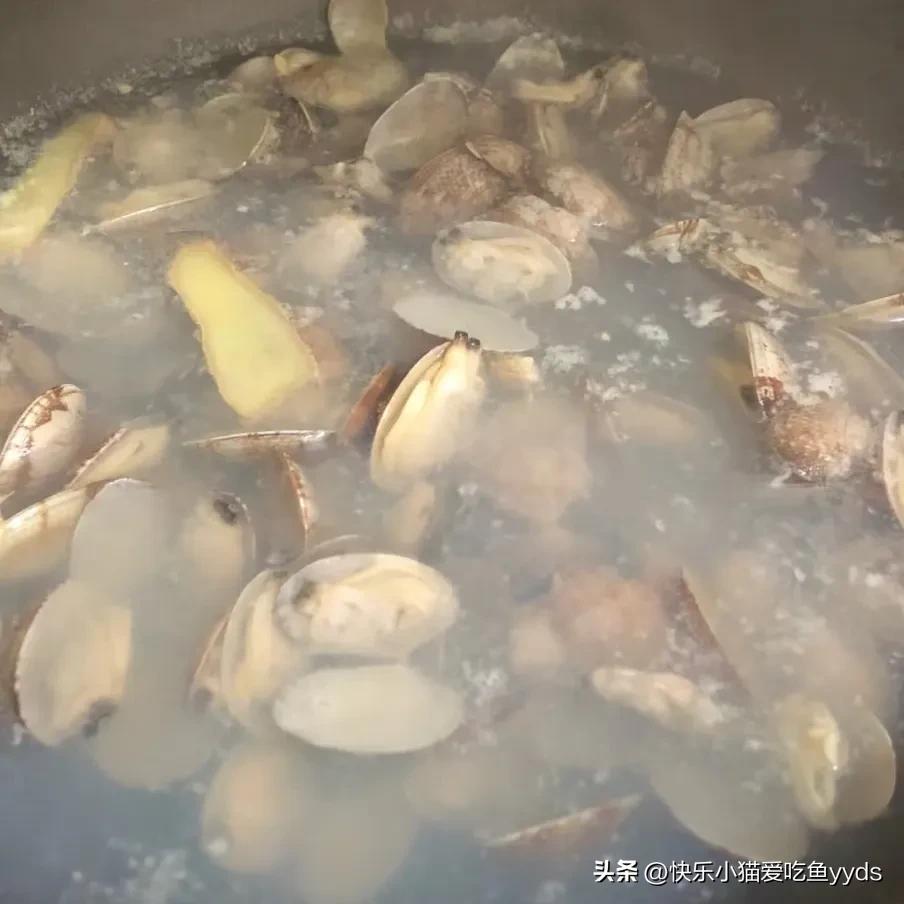 辣炒花蛤_蒜蓉粉丝蒸扇贝_蒜蓉粉丝蒸贝壳