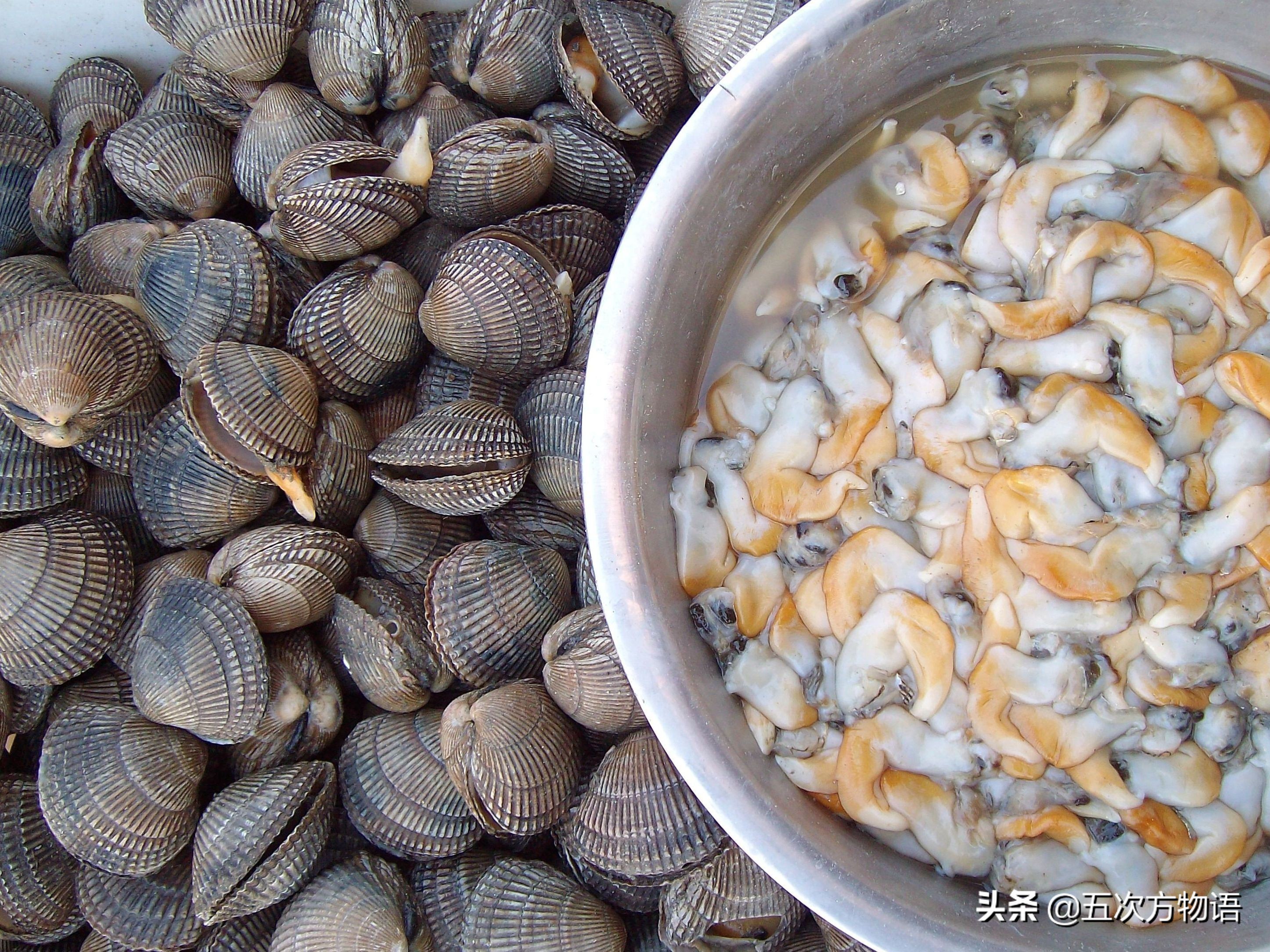 蒜蓉粉丝蒸贝壳_文蛤_菲律宾蛤仔