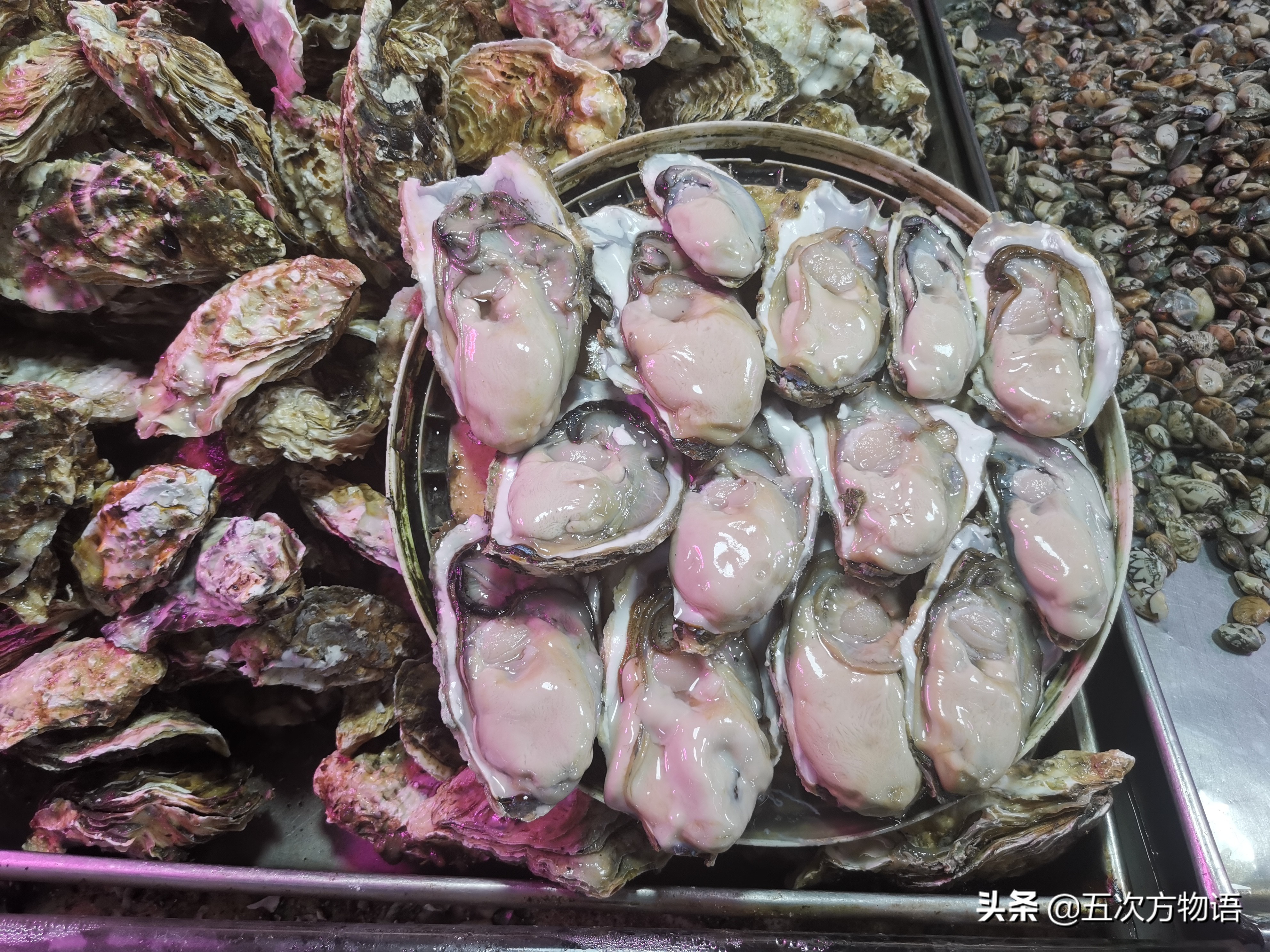 菲律宾蛤仔_文蛤_蒜蓉粉丝蒸贝壳