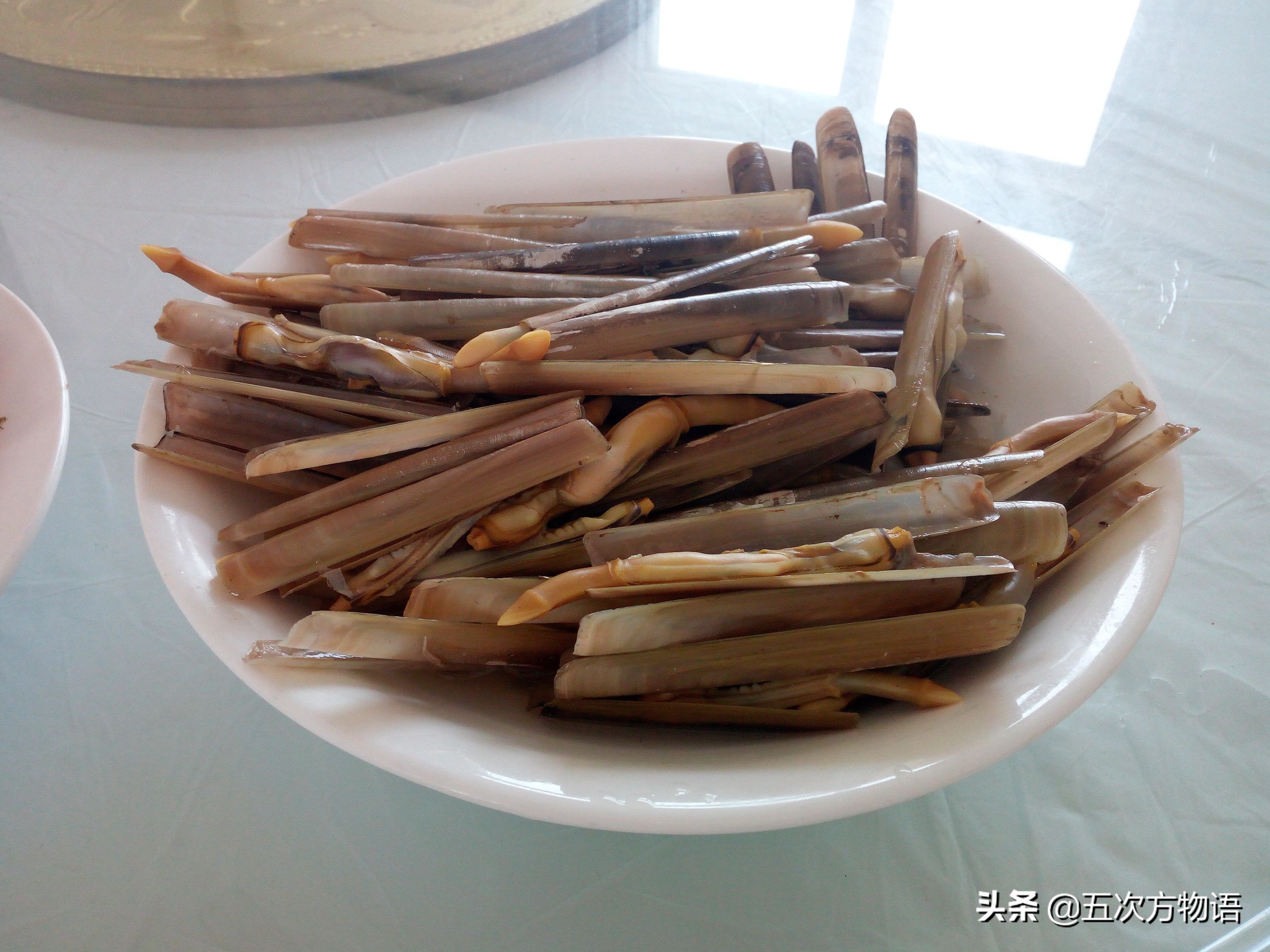 文蛤_蒜蓉粉丝蒸贝壳_菲律宾蛤仔