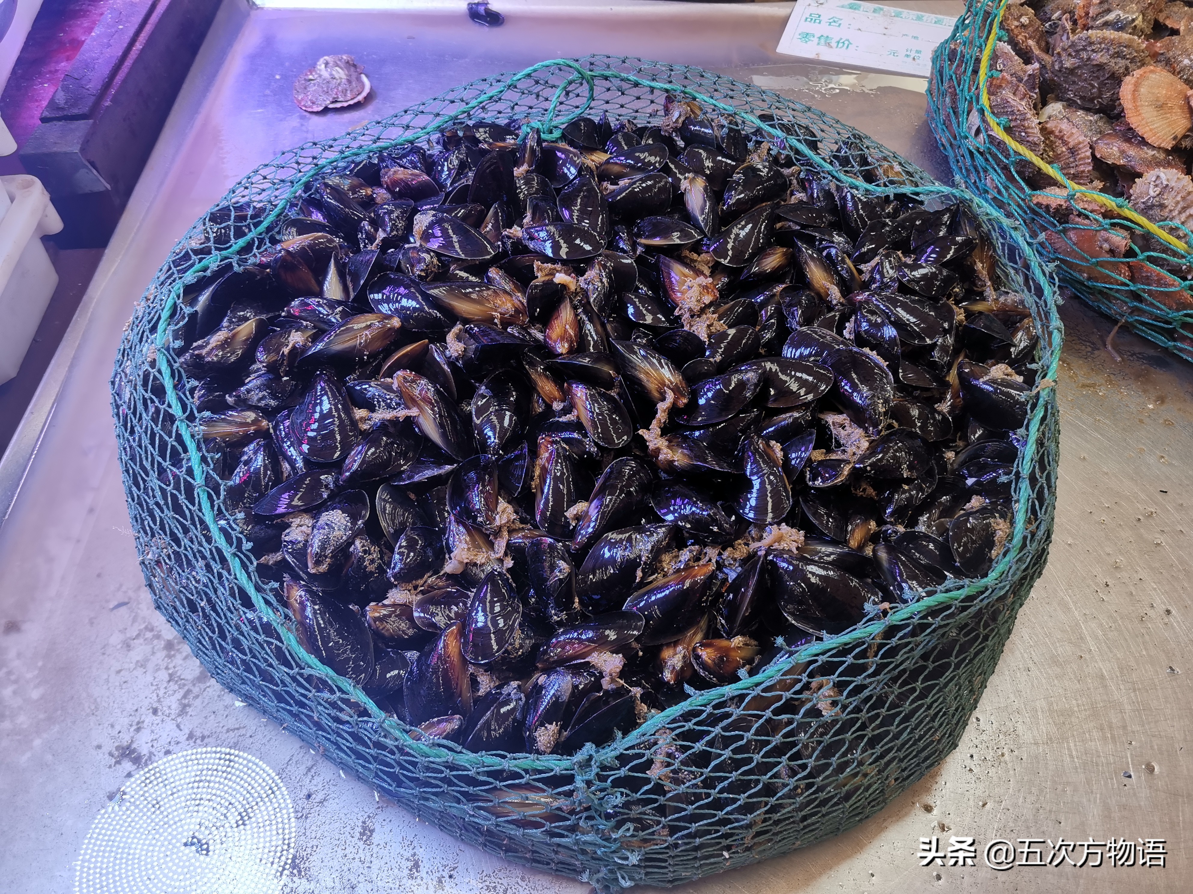 文蛤_菲律宾蛤仔_蒜蓉粉丝蒸贝壳