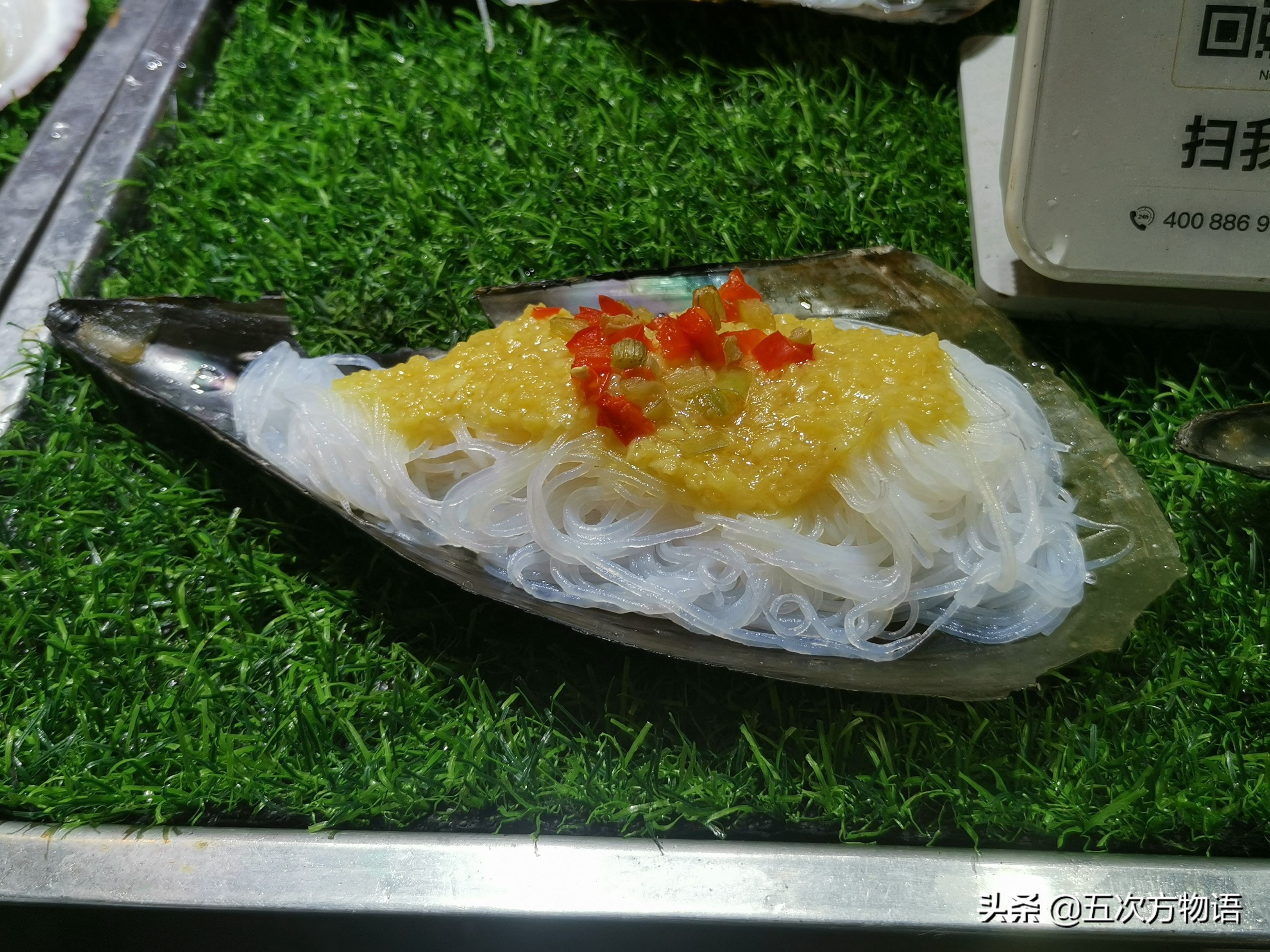 文蛤_菲律宾蛤仔_蒜蓉粉丝蒸贝壳