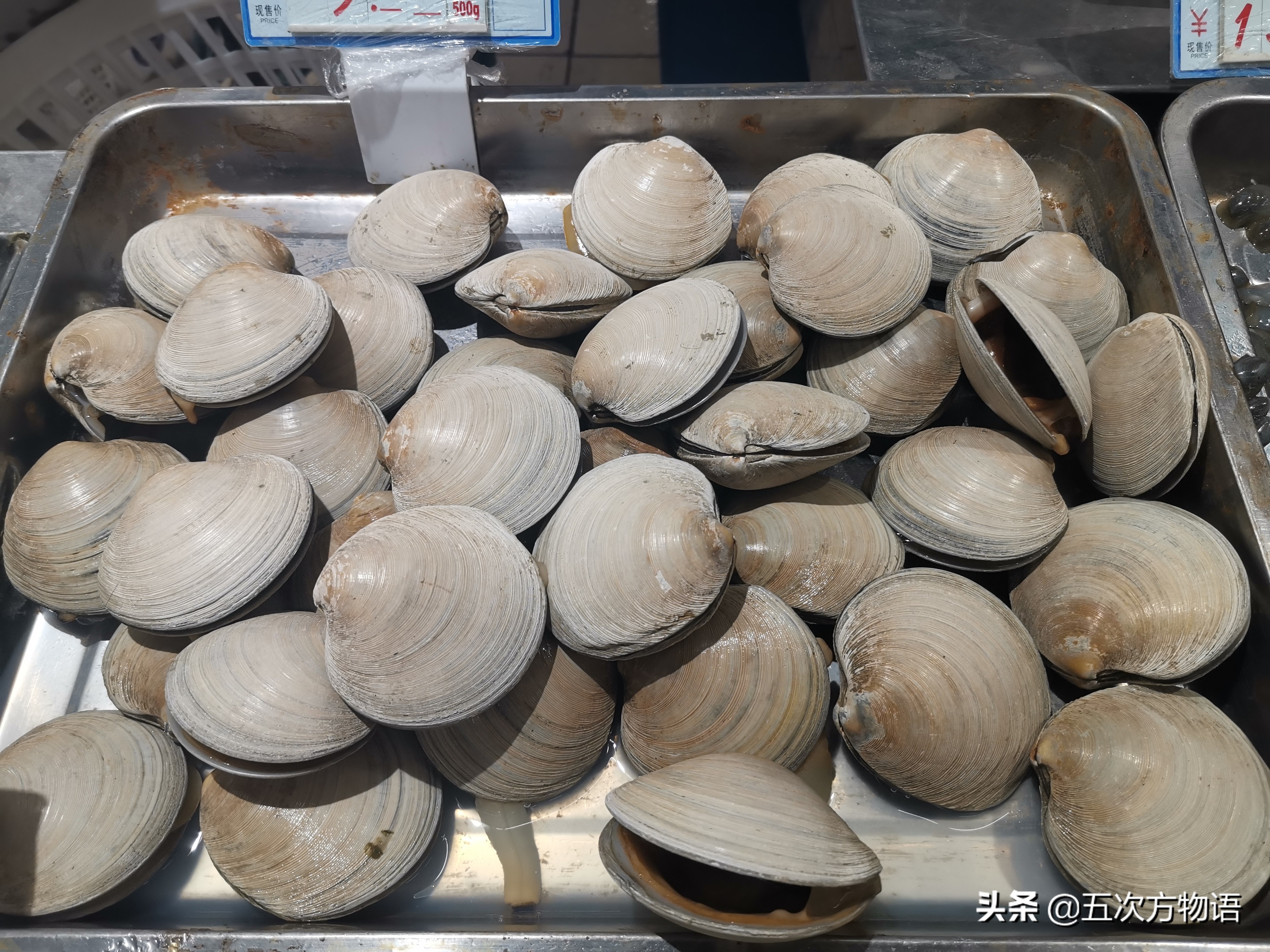 菲律宾蛤仔_蒜蓉粉丝蒸贝壳_文蛤