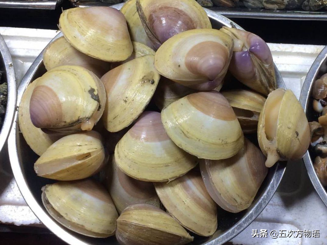 菲律宾蛤仔_蒜蓉粉丝蒸贝壳_文蛤